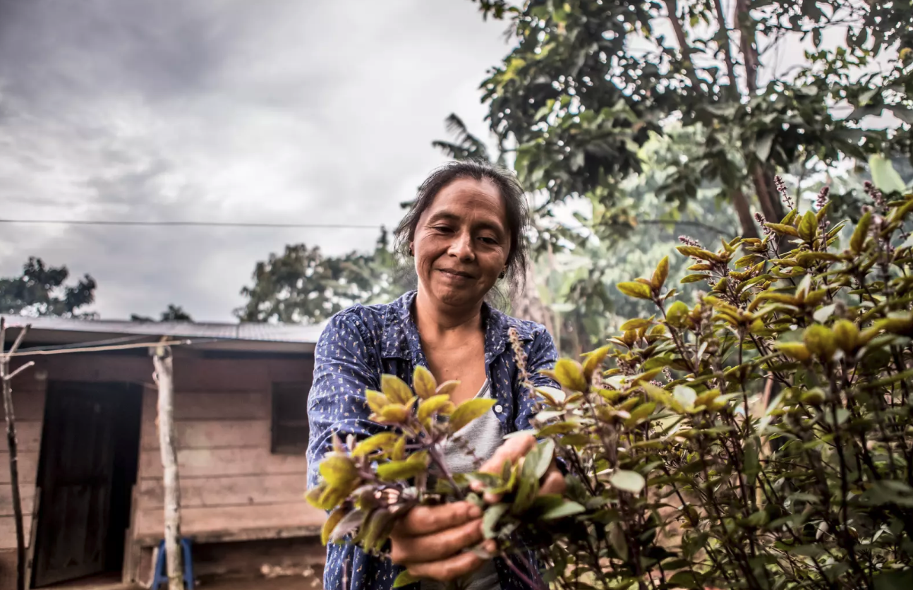 Broederlijk Delen hekelde dit jaar het gebruik van gevaarlijke pesticiden.