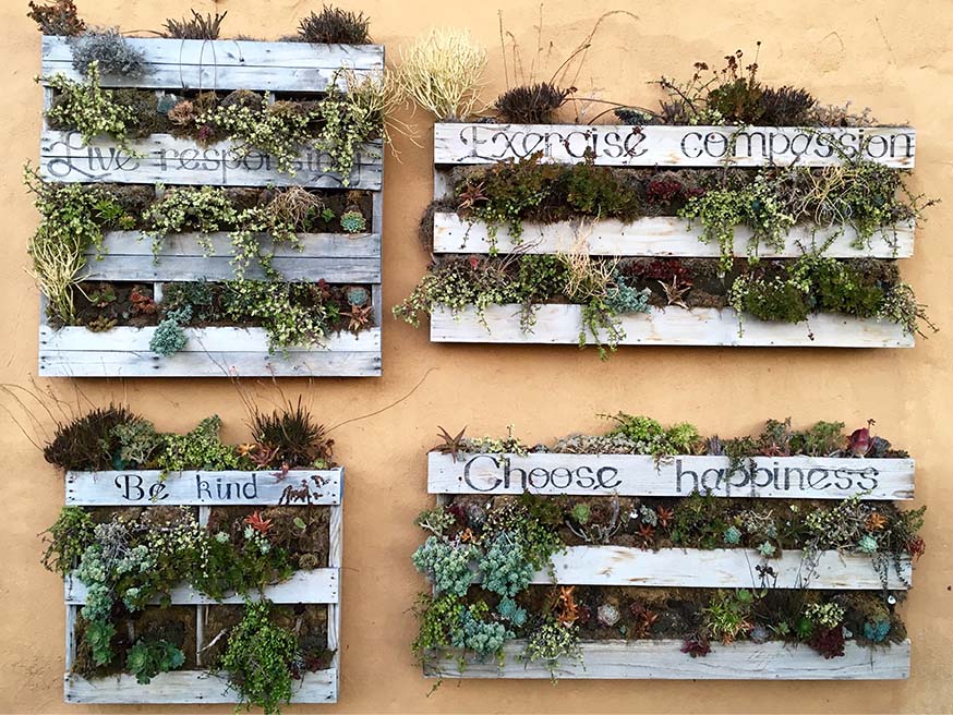 Verticale tuin van palletten tegen een muur